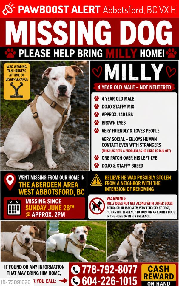 Lost Male Dog last seen Fraser hwy ross road, Abbotsford, BC V4X 1H2