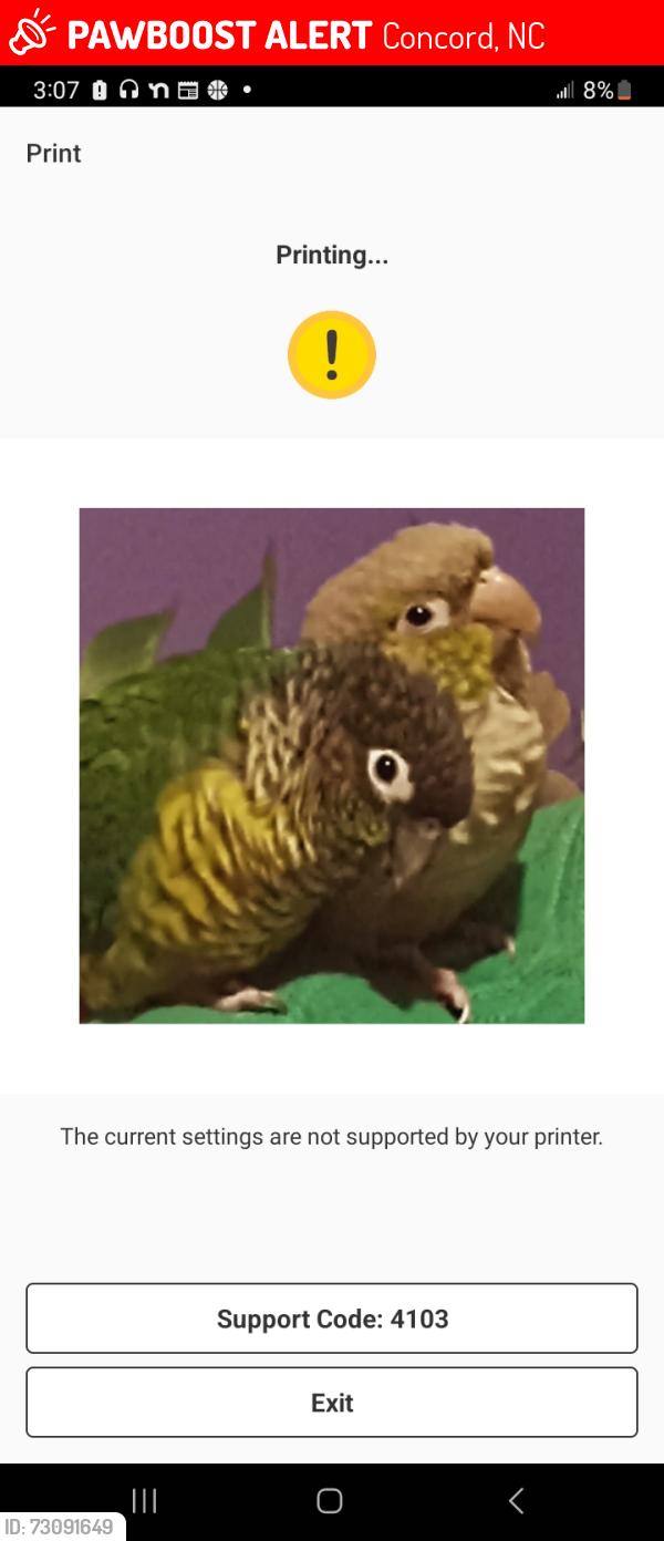 Lost Male Bird last seen Morehead road and Aaron road apppolo rv park, Concord, NC 28027