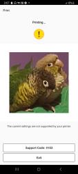 Lost Male Bird last seen Morehead road and Aaron road apppolo rv park, Concord, NC 28027