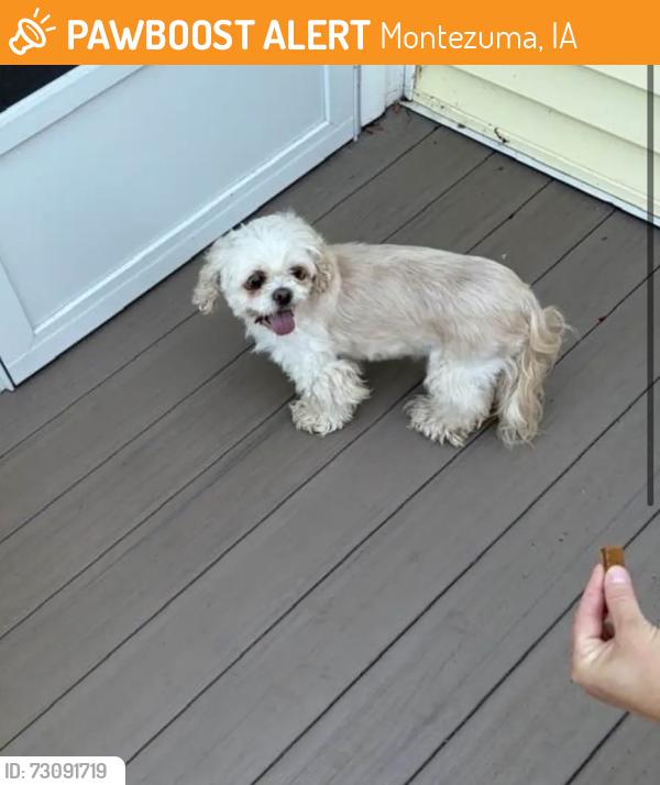 Found/Stray Unknown Dog last seen Ponderosa Association buolding, Montezuma, IA 50171
