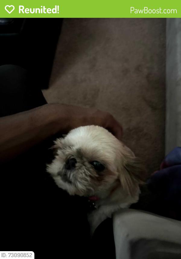 Reunited Female Dog last seen West 4th in antioch , ca, Antioch, CA 94509