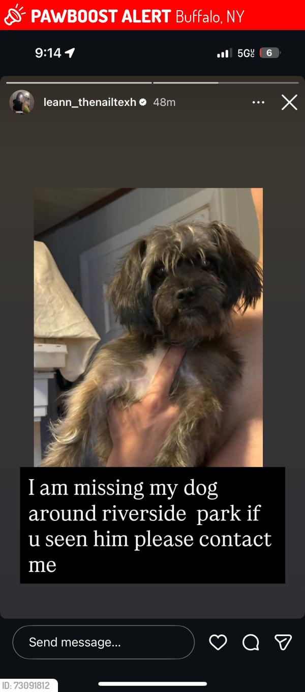 Lost Male Dog last seen Crowley condon, Buffalo, NY 14207