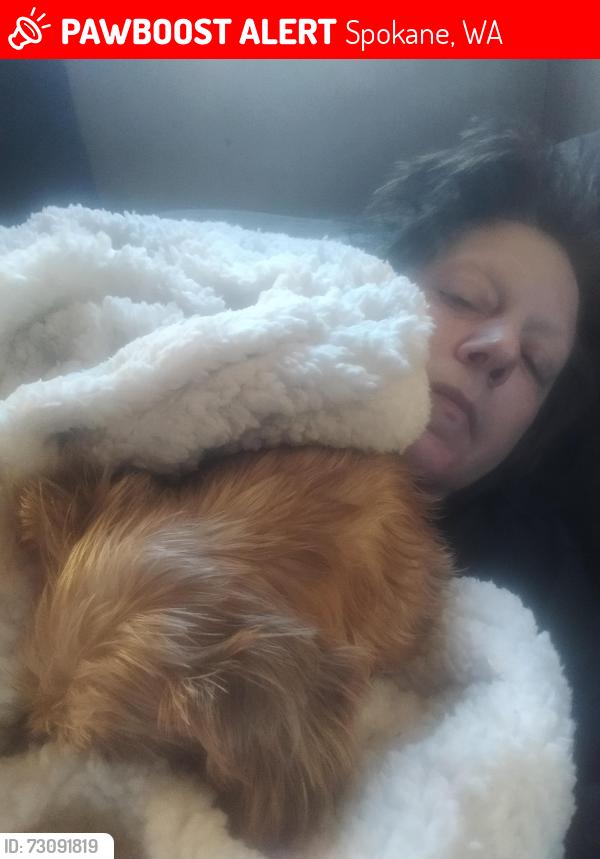 Lost Female Dog last seen Hillyard, Spokane, WA 99217