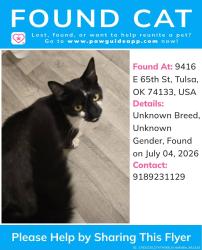 Found/Stray Unknown Cat last seen E 65th St Tulsa OK. 74133, Tulsa, OK 74133