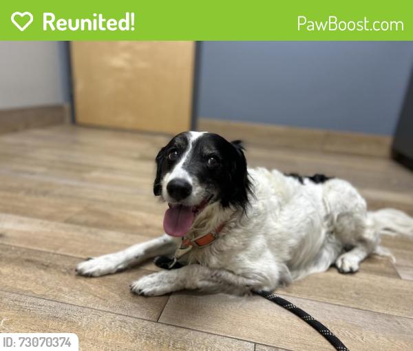 Reunited Male Dog last seen S Rovan Pt, Lecanto, FL 34461