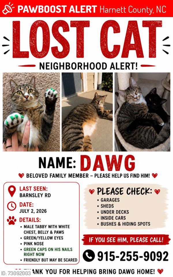 Lost Male Cat last seen Atherstone, Harnett County, NC 27501