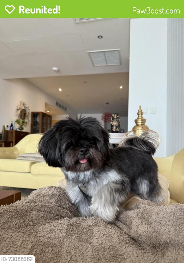 Reunited Male Dog last seen Lancaster ln, Tampa, FL 33619