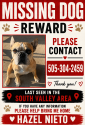 Lost Female Dog last seen Coors and central, Albuquerque, NM 87105