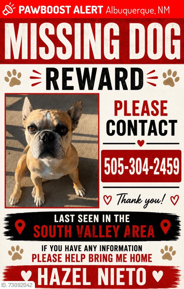 Lost Female Dog last seen Coors and central, Albuquerque, NM 87105