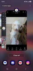 Lost Male Dog last seen Bywood dr 29223 columbia, Columbia, SC 29223