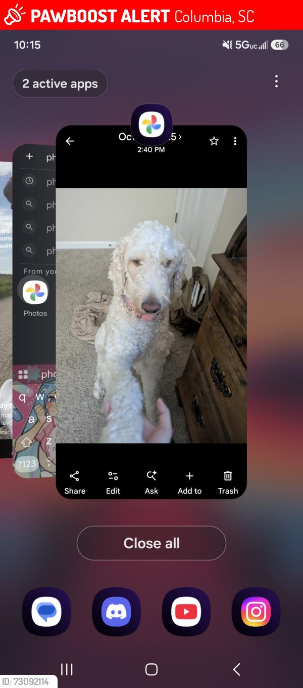 Lost Male Dog last seen Bywood dr 29223 columbia, Columbia, SC 29223