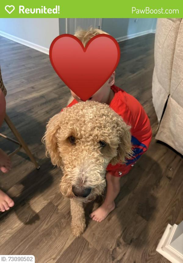 Reunited Male Dog last seen Chestatee Rd at Cool Springs, Gainesville, GA 30506