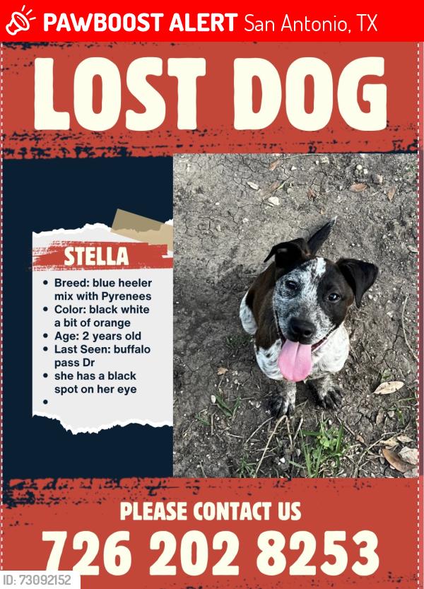 Lost Female Dog last seen Buffalo pass dr, San Antonio, TX 78245