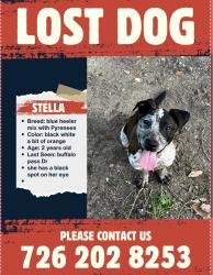 Lost Female Dog last seen Buffalo pass dr, San Antonio, TX 78245