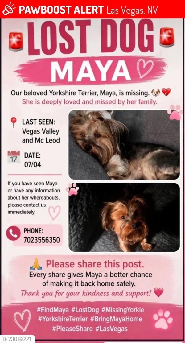 Lost Female Dog last seen Vegas Valley and mcleod, Las Vegas, NV 89121