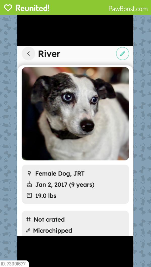 Reunited Female Dog last seen Circle Dr , Stowe, PA 19464