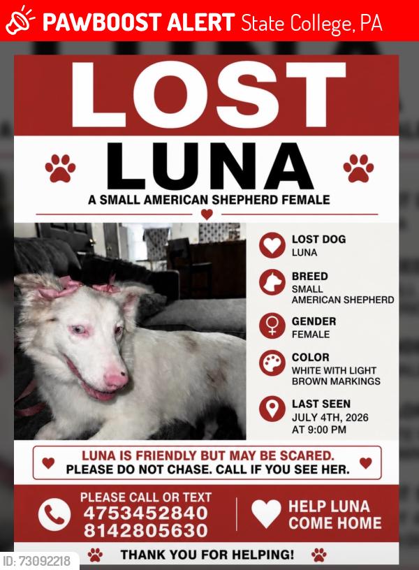 Lost Female Dog last seen Near Stratford drive, State College, PA 16801