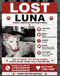Lost Female Dog last seen Near Stratford drive, State College, PA 16801