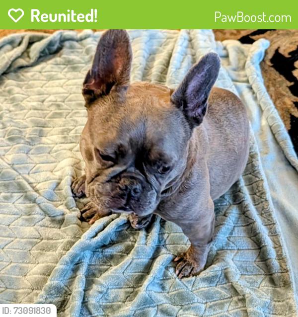 Reunited Female Dog last seen Marrinez, Burlingame, CA 94010