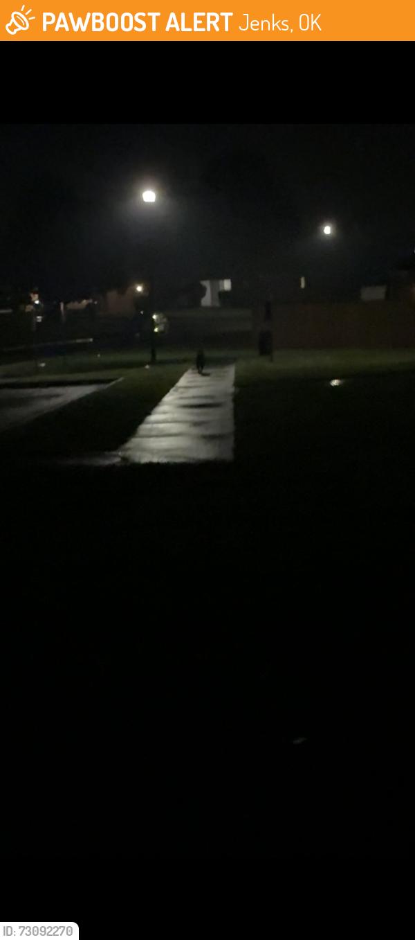 Found/Stray Unknown Dog last seen 1513-1525 W 117th St S, Jenks, OK 74037, Jenks, OK 74037