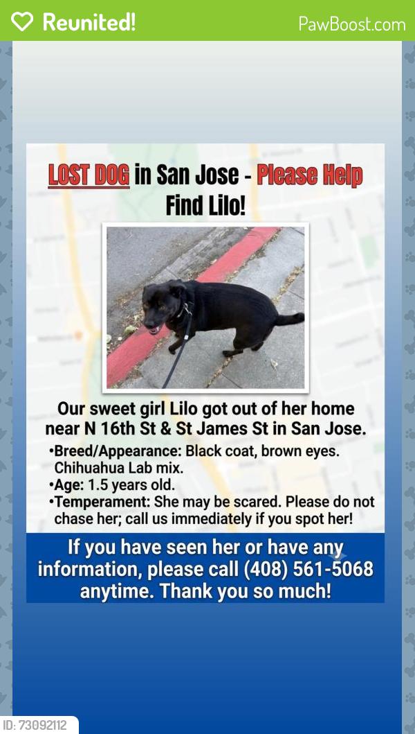 Reunited Female Dog last seen N 16th St, San Jose, CA 95112, USA, San Jose, CA 95112