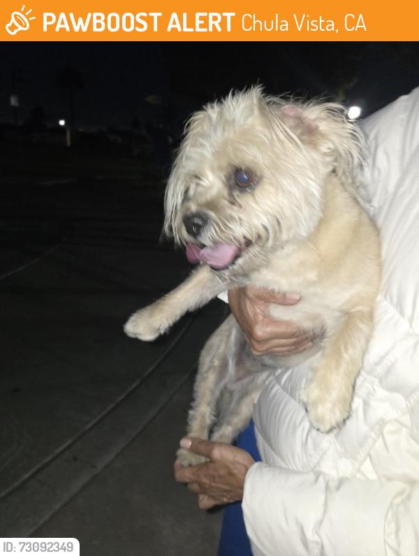 Found/Stray Male Dog last seen Santa cora park, Chula Vista, CA 91913