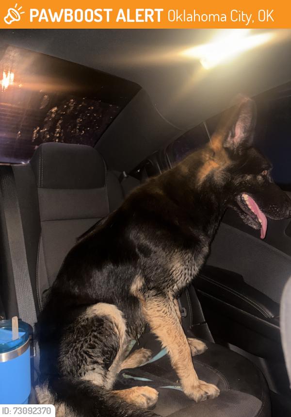 Found/Stray Unknown Dog last seen Eastern & Kilpatrick Turnpike, Oklahoma City, OK 73134