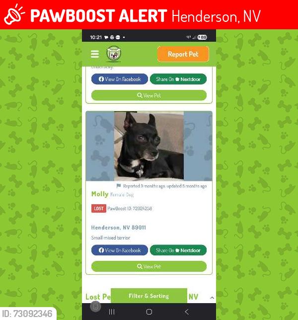Lost Female Dog last seen Van Dornum Ave and Pabco, Henderson, NV 89011