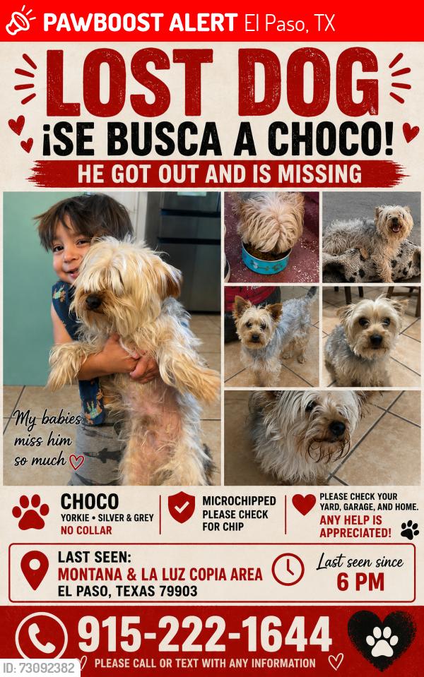 Lost Male Dog last seen La luz and Montana, El Paso, TX 79903