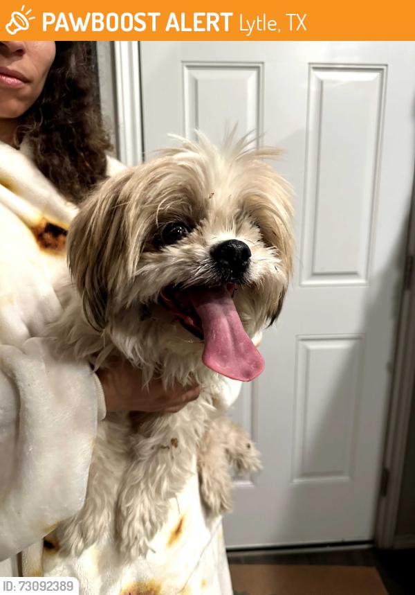 Found/Stray Female Dog last seen Butch cassidy, Lytle, TX 78052