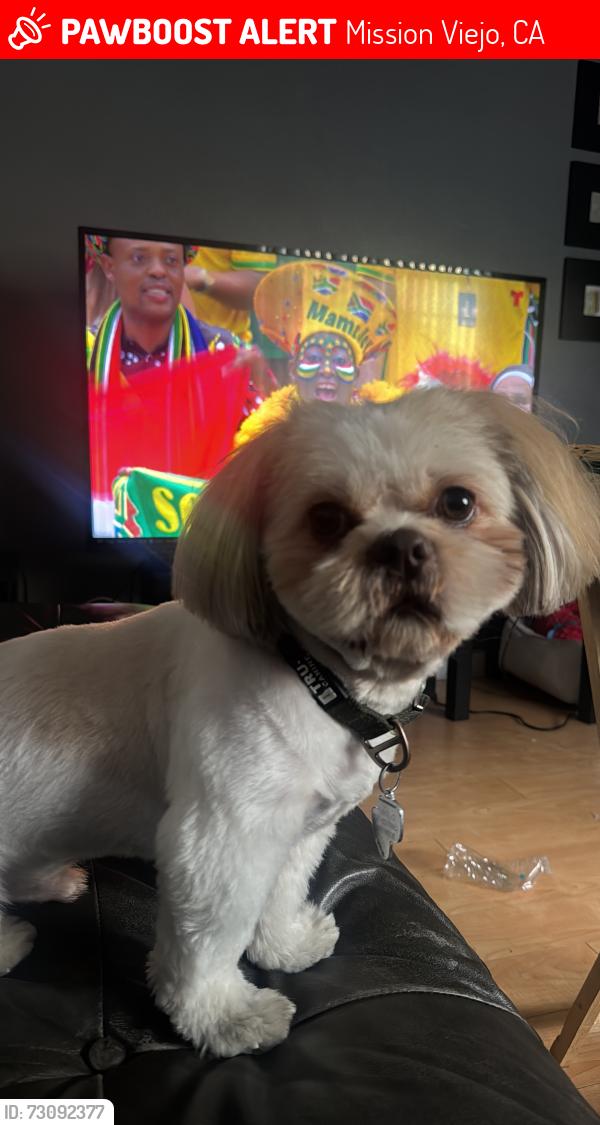 Lost Male Dog last seen Viejo Elementary, Mission Viejo, CA 92691
