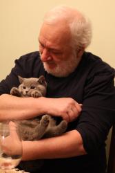 Lost Male Cat last seen Columbus, Glendale, CA 91203