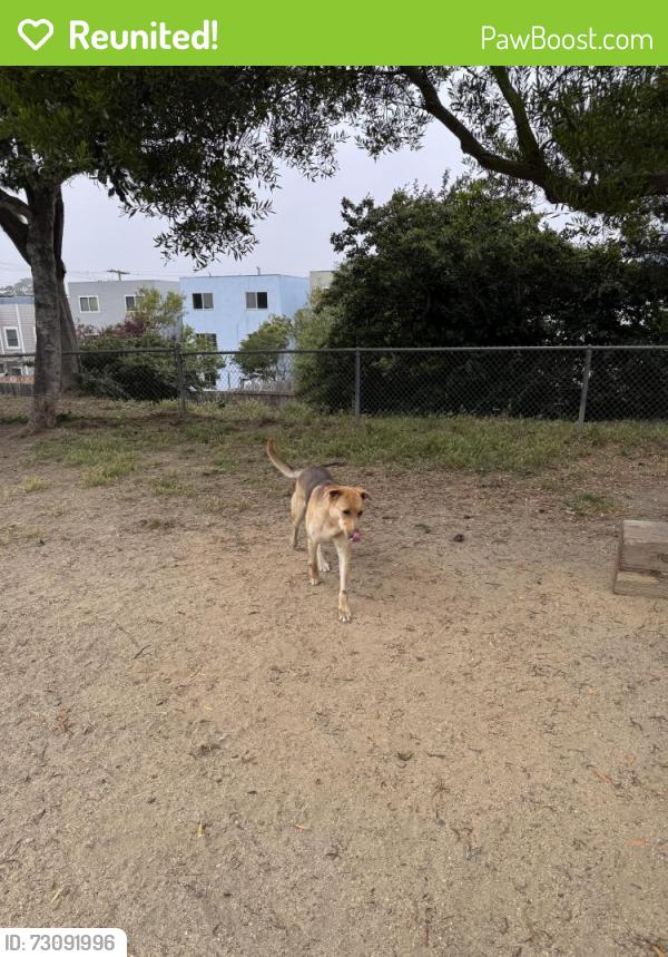 Reunited Male Dog last seen Mission Hills Park, Daly City, CA 94014