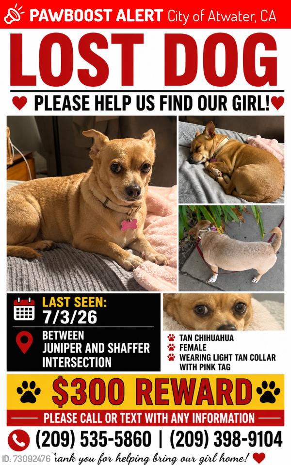 Lost Female Dog last seen Juniper and Shaffer, City of Atwater, CA 95301