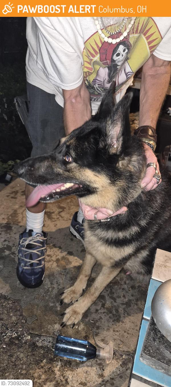 Found/Stray Male Dog last seen Weber, Columbus, OH 43211