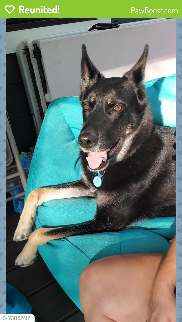 Reunited Male Dog last seen Upper Rockydale Rd, Lower Rockydale Rd, Green Lane, PA 18054