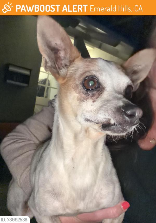 Found/Stray Male Dog last seen Kelton and Pyramid, Emerald Hills, CA 94062