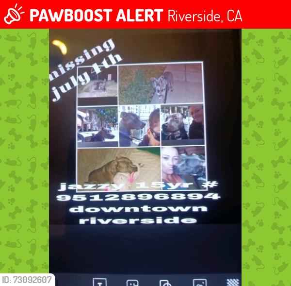 Lost Female Dog last seen Near 3rd st, Riverside, CA 92501