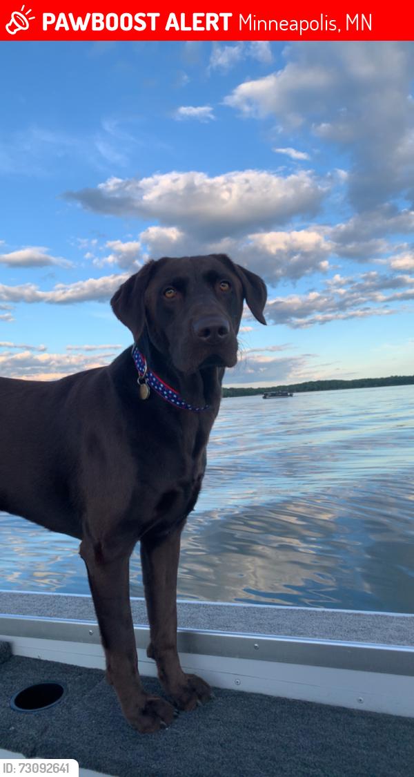 Lost Male Dog last seen Near Thomas Ave S Bloomington MN, Minneapolis, MN 55431