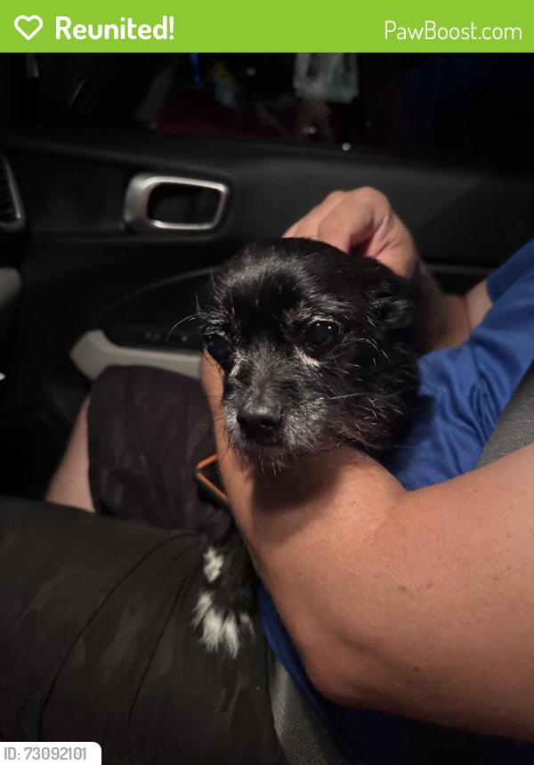 Reunited Female Dog last seen Bayshore (by the gas station) , Port St. Lucie, FL 34983