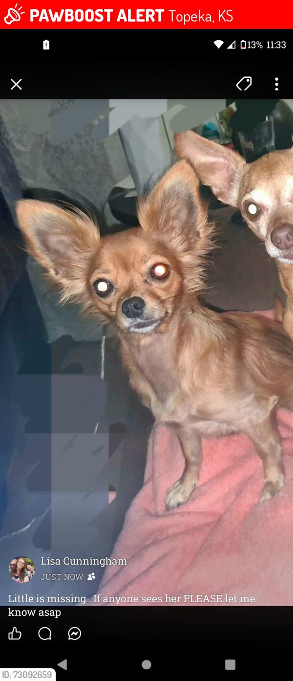 Lost Female Dog last seen 25th and Golden street, was told someone seen a small dog run towards dornwood, Topeka, KS 66605