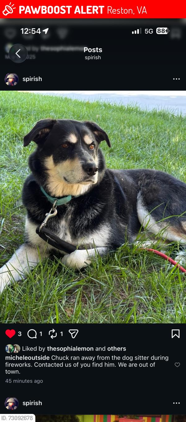 Lost Male Dog last seen bennington woods, Reston, VA 20194