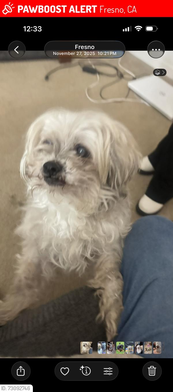 Lost Male Dog last seen Milburn & Herndon, Fresno, CA 93722