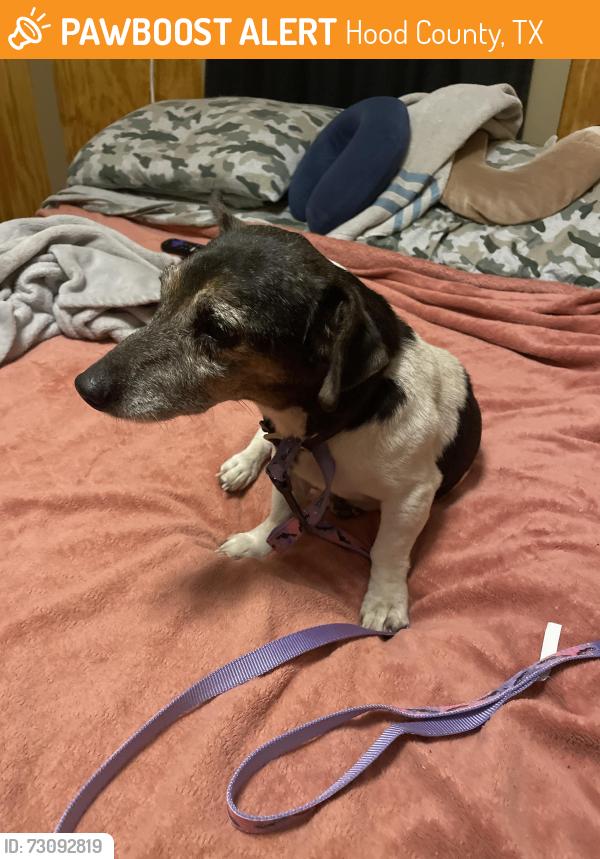 Found/Stray Male Dog last seen Tin top hwy and fm 4 at Gmart, Hood County, TX 76048