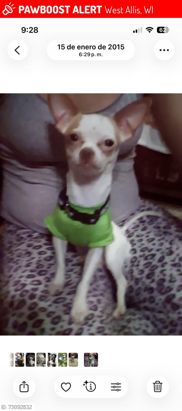 Lost Male Dog last seen Lincoln park west allis, West Allis, WI 53214