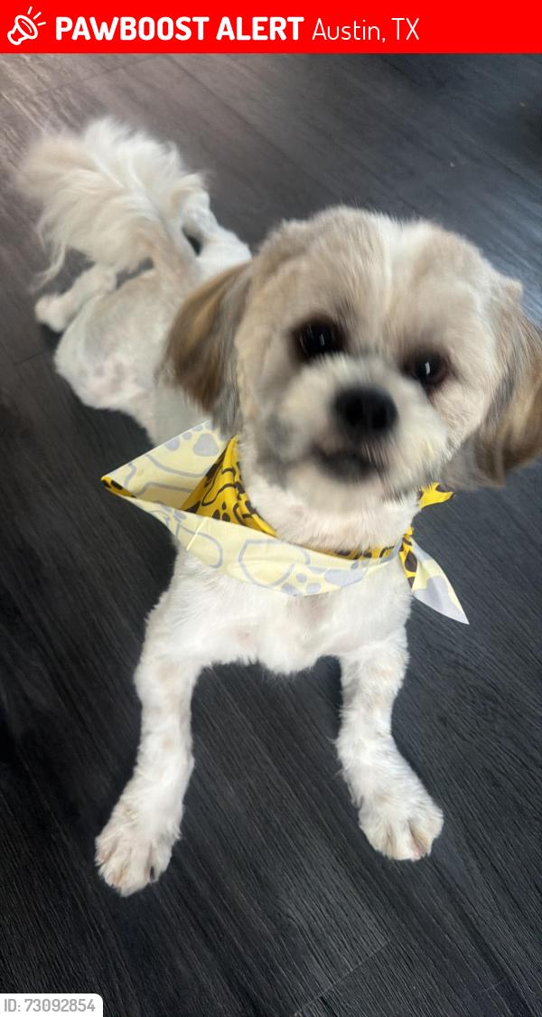 Lost Male Dog last seen Near Sea Biscuit Dr Del Valle, TX  78617 Estados Unidos, Austin, TX 78617