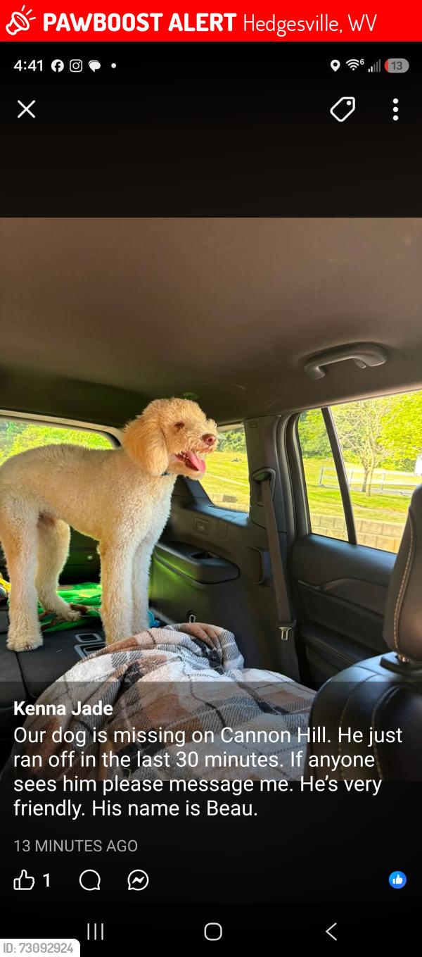Lost Male Dog last seen Route 9 and 901, Hedgesville, WV 25427
