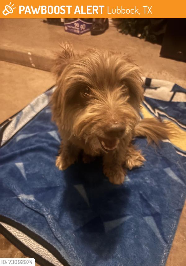 Found/Stray Unknown Dog last seen Milwaukee ridge, Lubbock, TX 79407