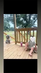 Reunited Female Dog last seen Farm to market 3080 mabank, Tx, Mabank, TX 75147