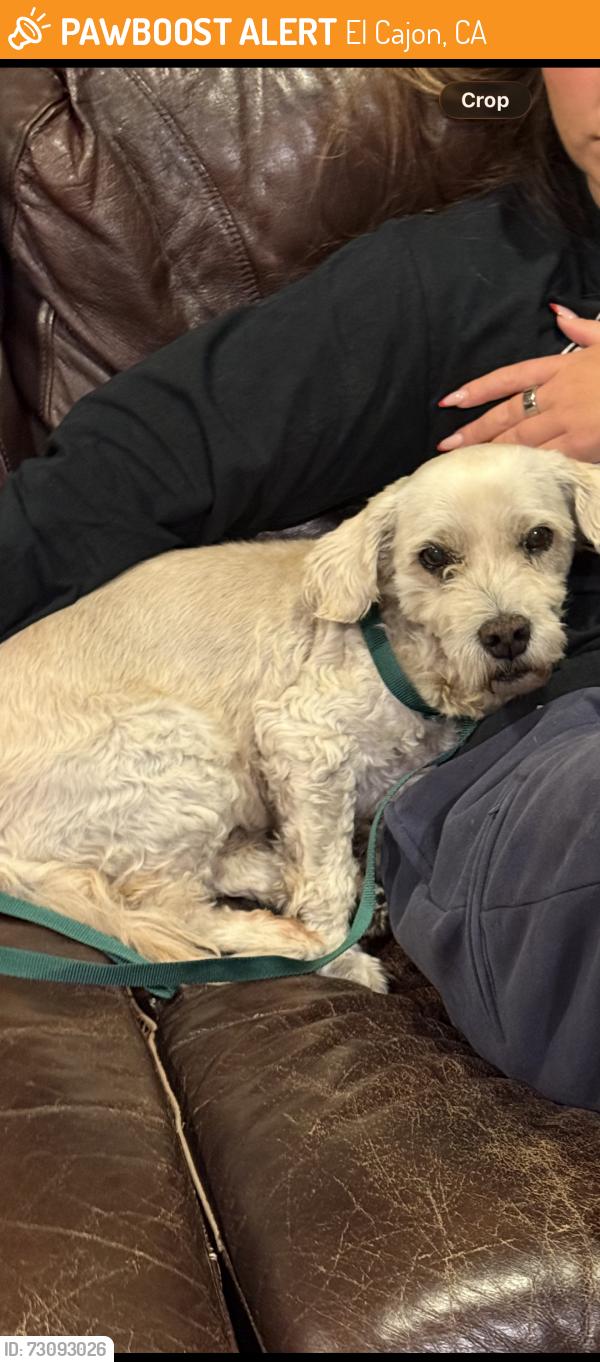 Found/Stray Male Dog last seen Near Lawndale Road, El Cajon, CA 92101, El Cajon, CA 92019